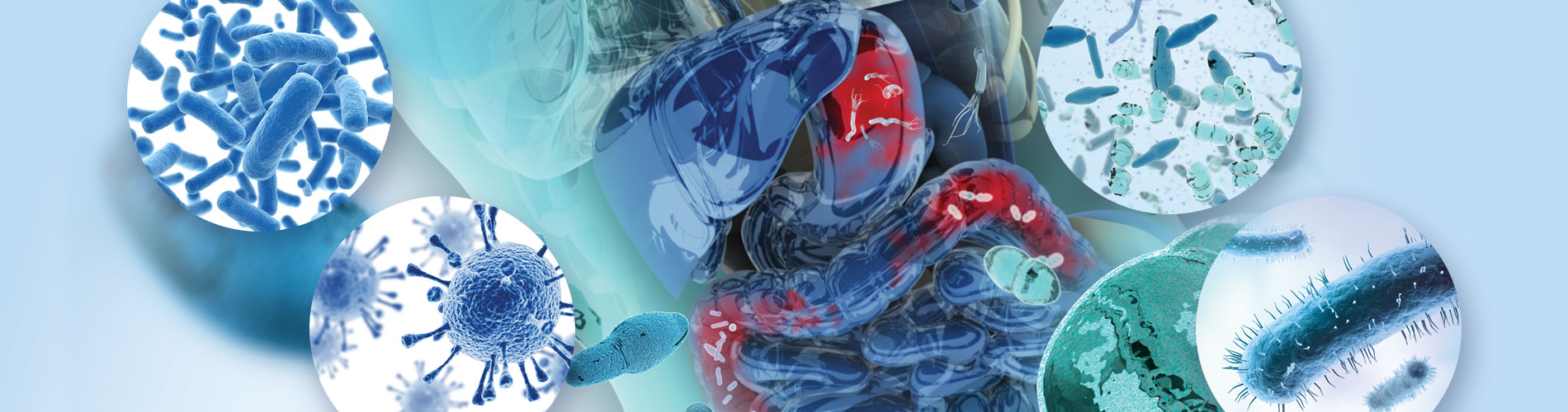 Microbiome in health and disease